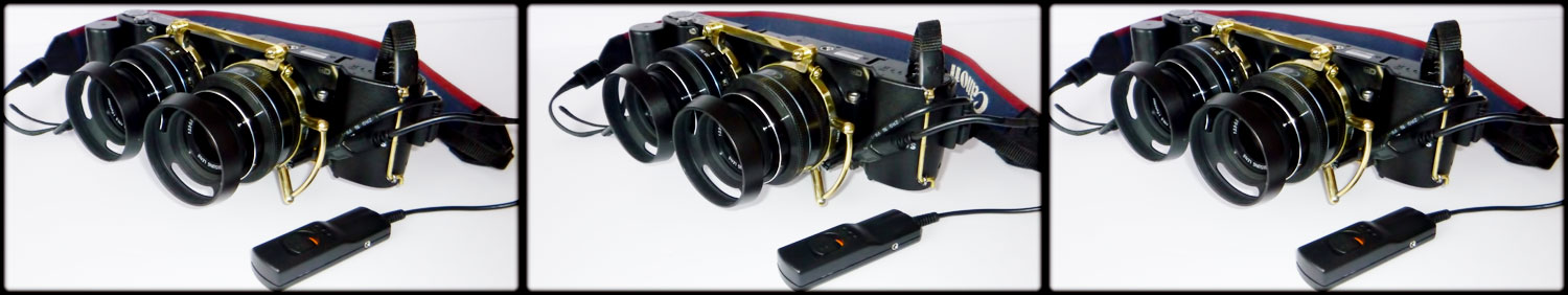 paired NX1000 cameras