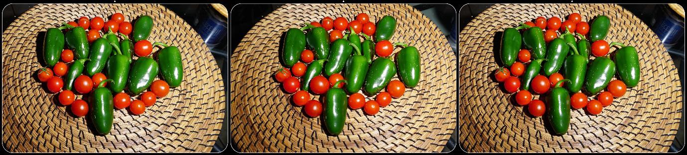 Peppers illuminated by flash